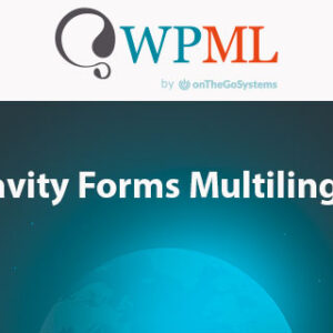 WPML Gravity Forms Multilingual