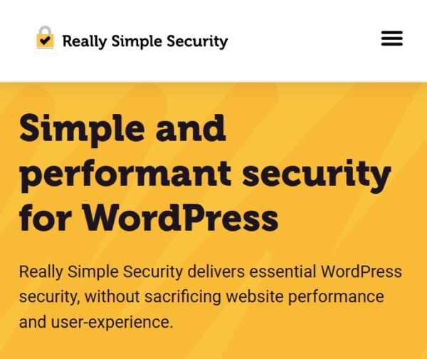 Really Simple Security Pro