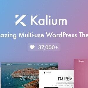 Kalium-Creative WordPress Theme for Professionals