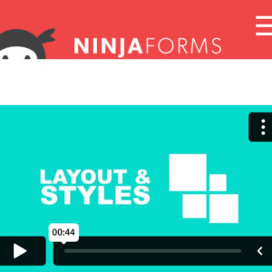 Ninja Forms Layout & Styles