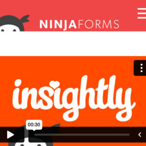 Ninja Forms Insightly CRM