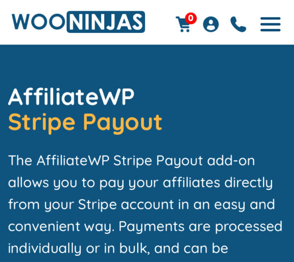 AffiliateWP Stripe Payout