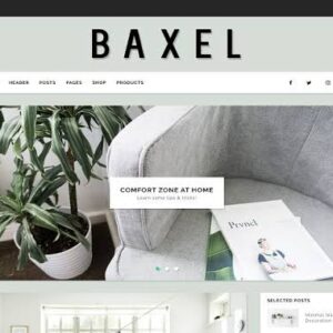 Baxel-Minimal Blog Theme for WordPress