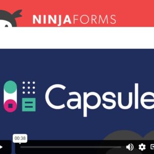 Ninja Forms Capsule CRM