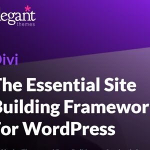 Divi Builder